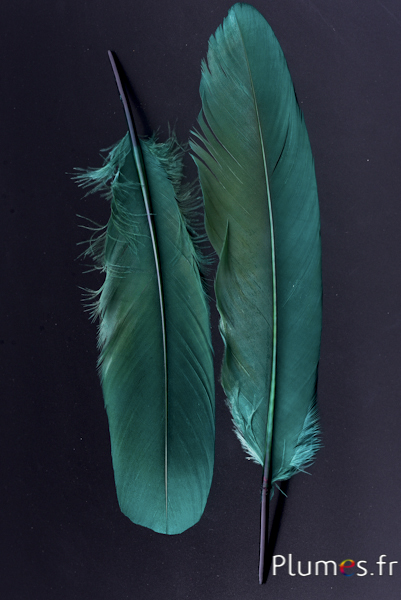 Cygne Soie - 25-30 cm - vert sapin-kaki